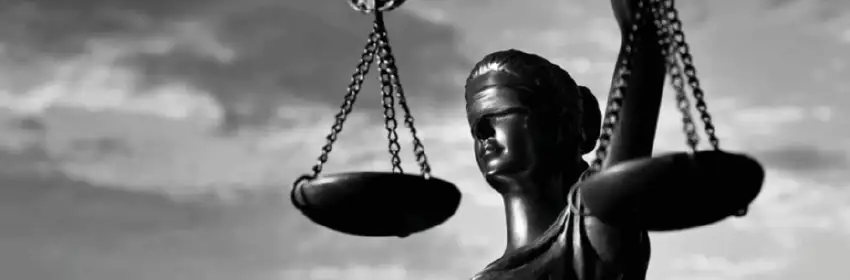 cursos de direito online