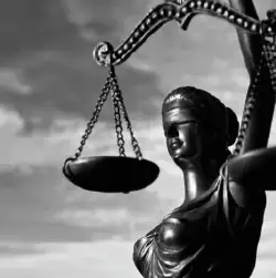 cursos online de direito