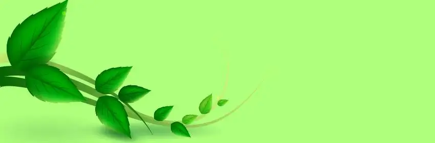 curso de agroecologia