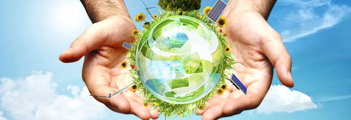 Desenvolvimento Sustentável Desenvolvimento Sustentável