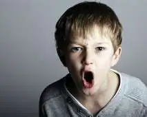 Inclusão da Criança com Transtorno Opositivo Desafiador  - TOD