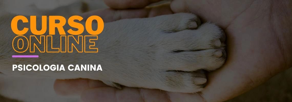 Psicologia Canina Psicologia Canina