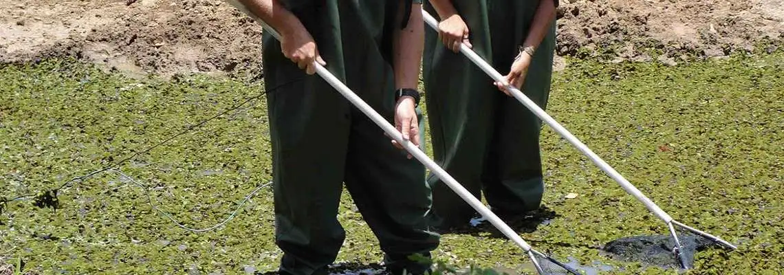 Noções de Biomonitoramento 