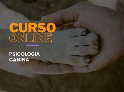 Psicologia Canina Psicologia Canina