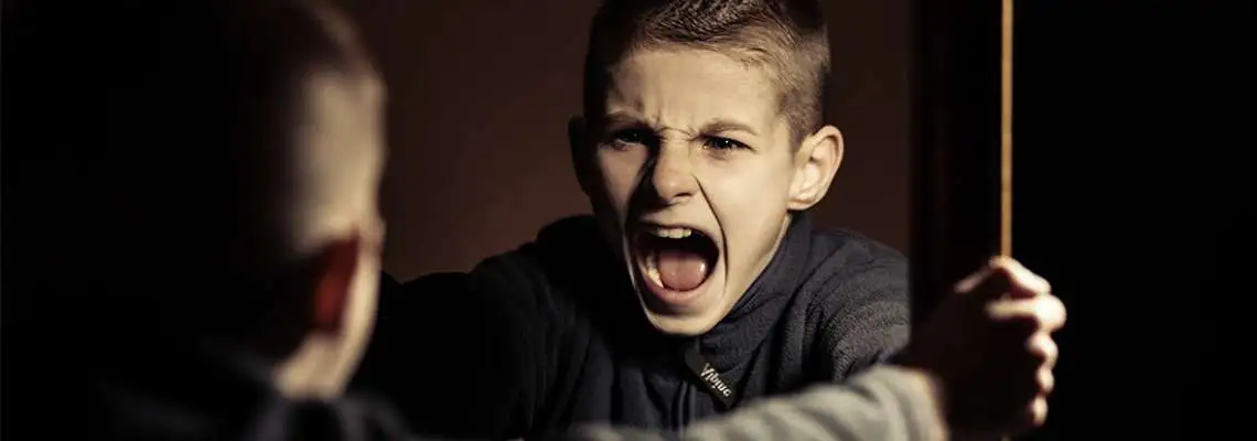 Inclusão da Criança com Transtorno Opositivo Desafiador  - TOD