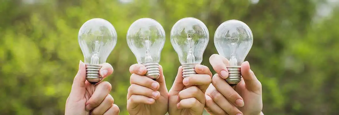 Os Seres Vivos e o Meio Ambiente