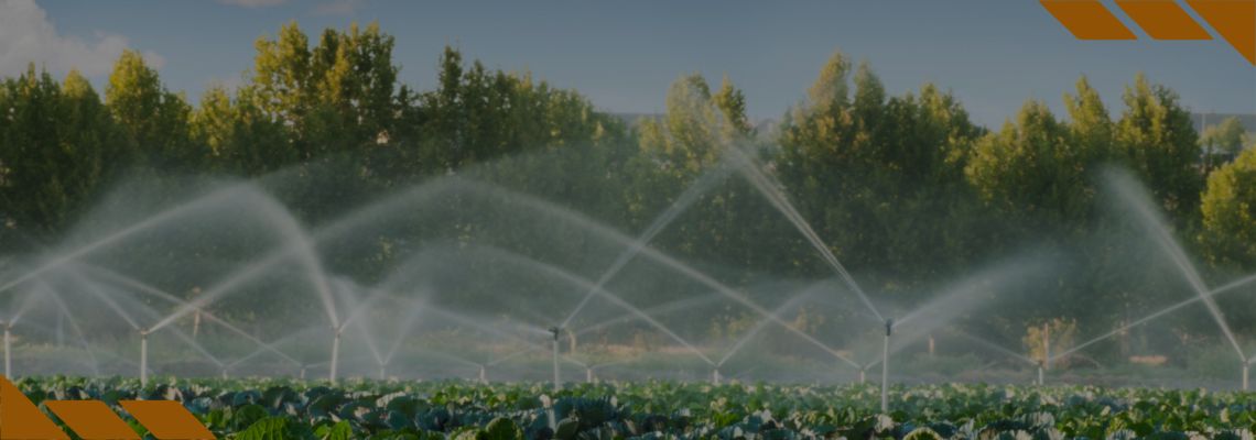 Reuso de Água na Agricultura Irrigada